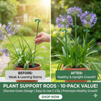 Plant Support Stand (10 Pcs)