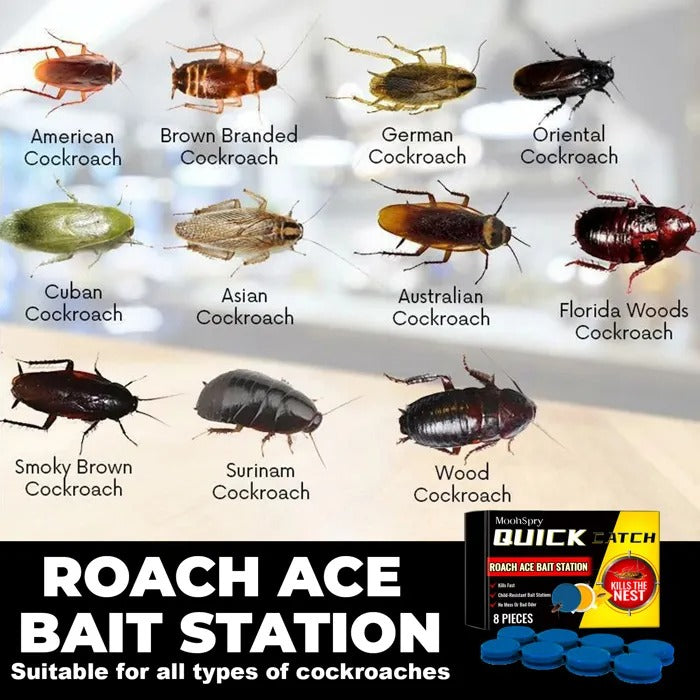Roach Ace Bait Station (Buy 2)