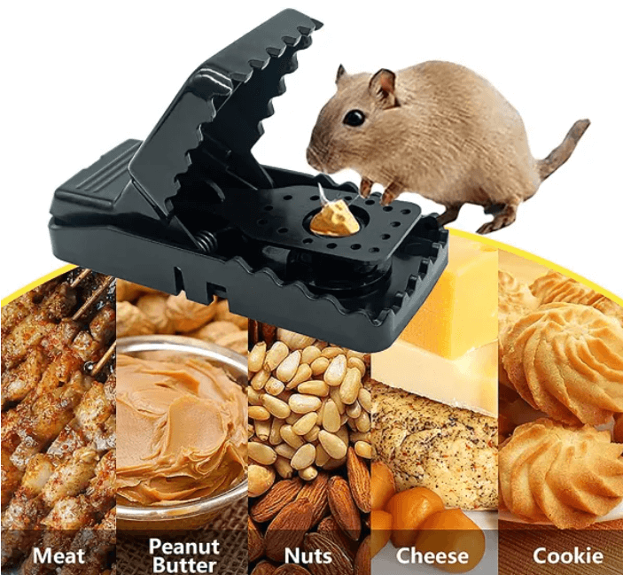 5Pcs- Mouse Killer Trap