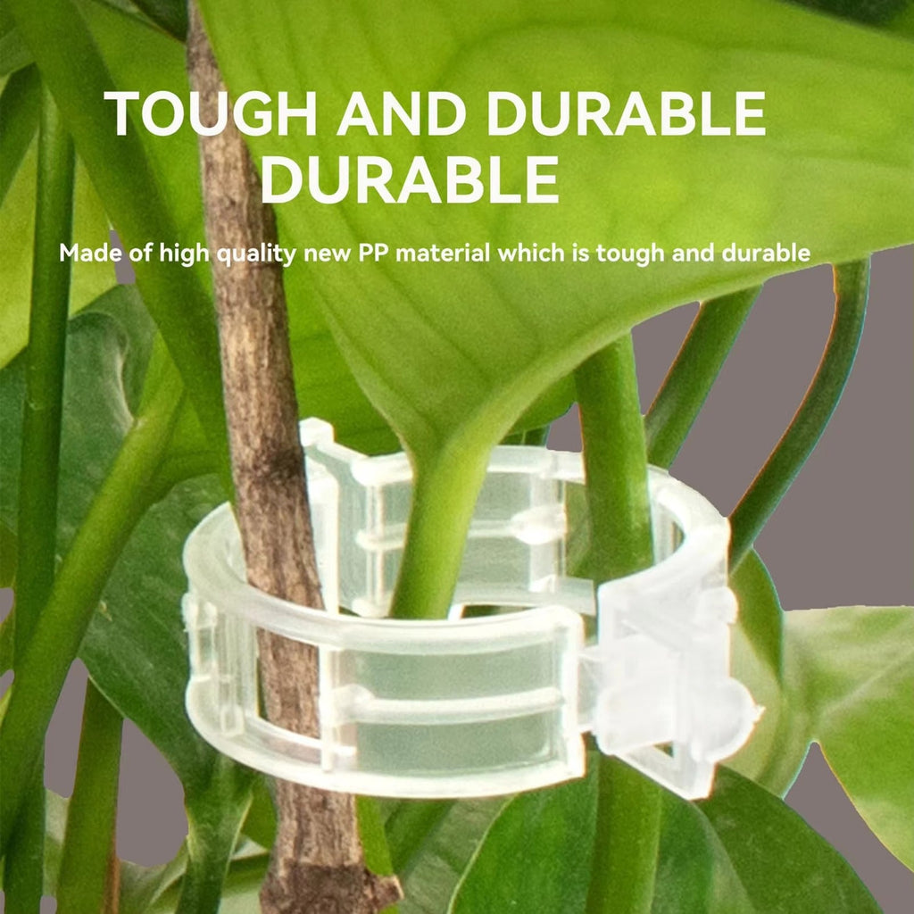 (50 Pcs)- Plant Clips for Climbing