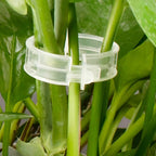(50 Pcs)- Plant Clips for Climbing