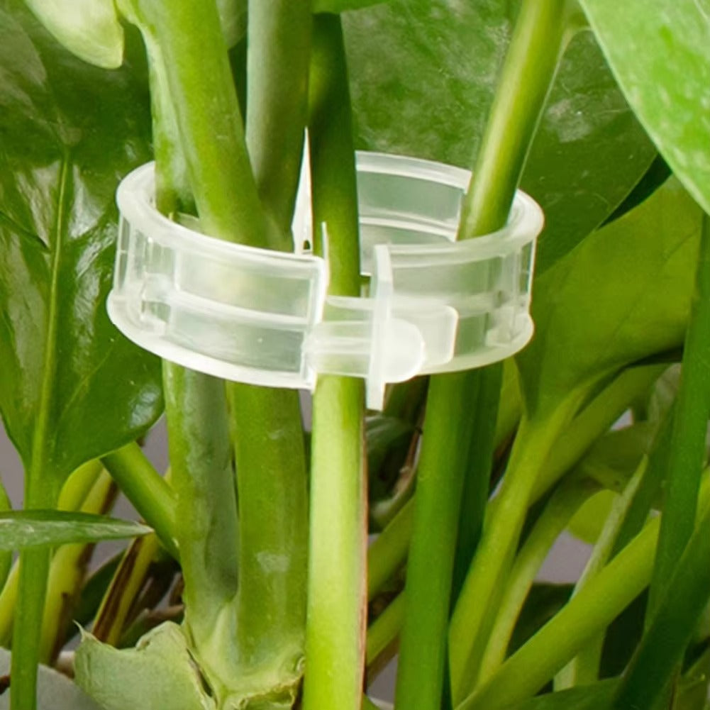 (100 Pcs)- Plant Clips for Climbing
