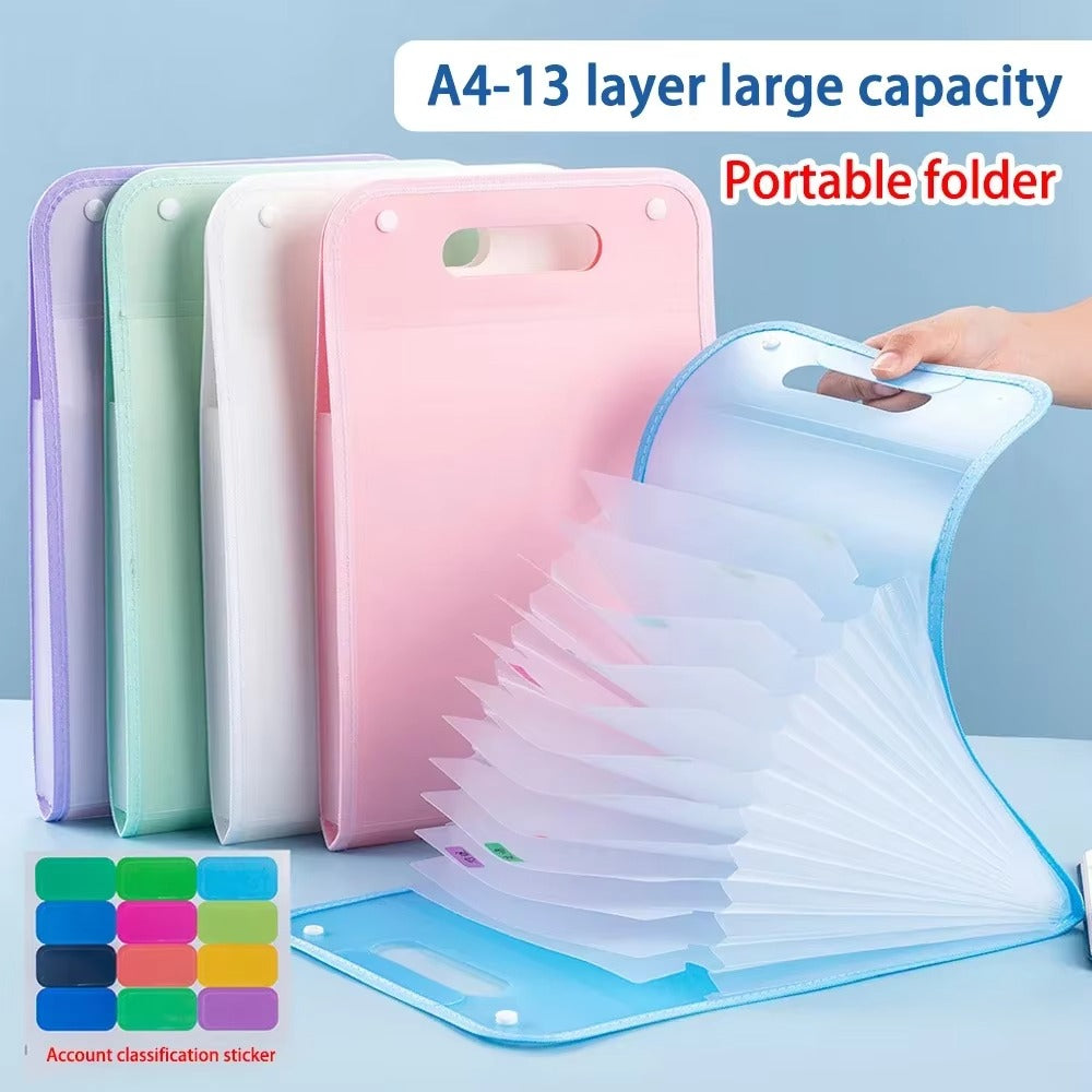 ১ পিস - 13-Cell Portable Expanding Paper Storage Organizer Bag