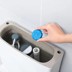 ১০ পিসের প্যাকেট | Toilet Flush Tablets