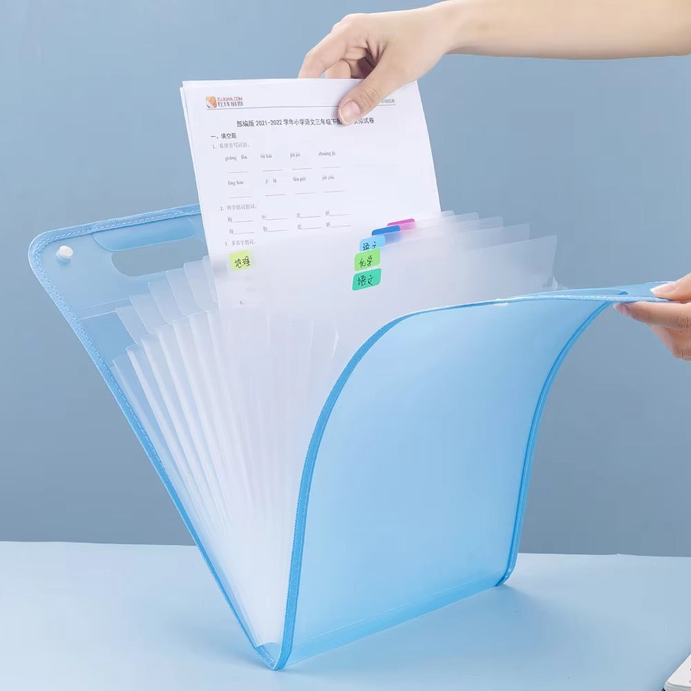 ১ পিস - 13-Cell Portable Expanding Paper Storage Organizer Bag