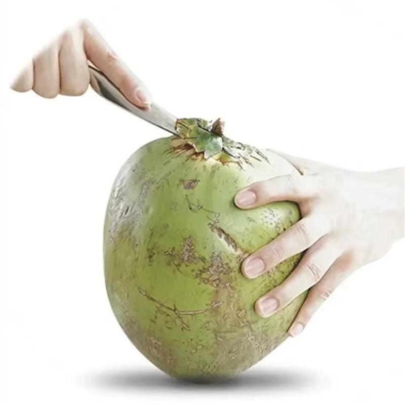 Stainless Steel Coconut Opener