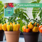 1 Box- Plant Growth Fertilizer Sticks