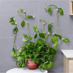 50Pcs- Self-Adhesive Plant Wall Clips- [White]
