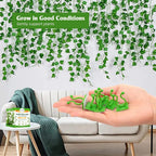 50Pcs- Self-Adhesive Plant Wall Clips- [White]
