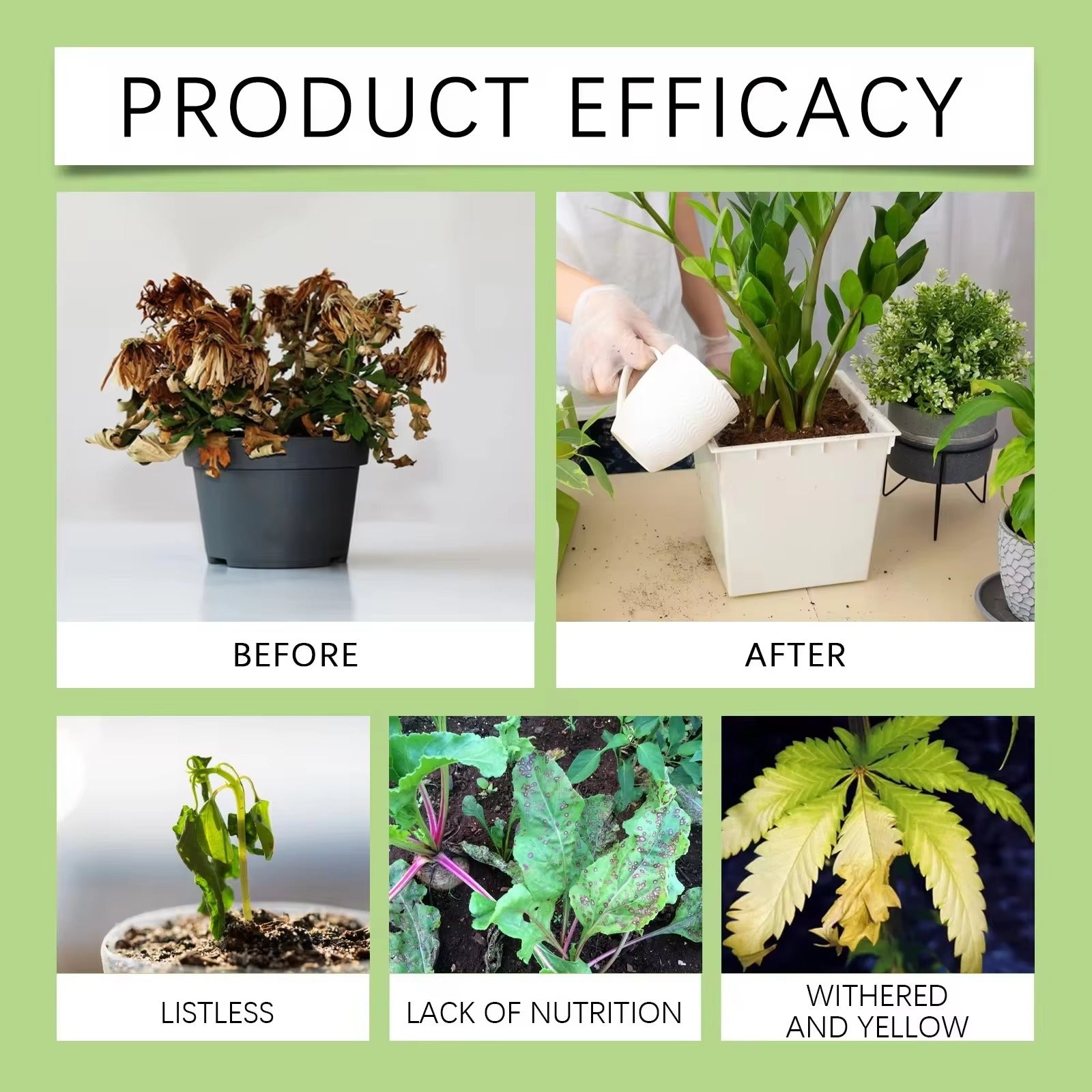1 Box- Plant Growth Fertilizer Sticks