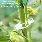 (100 Pcs)- Plant Clips for Climbing