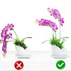Plant Support Stand (10 Pcs)