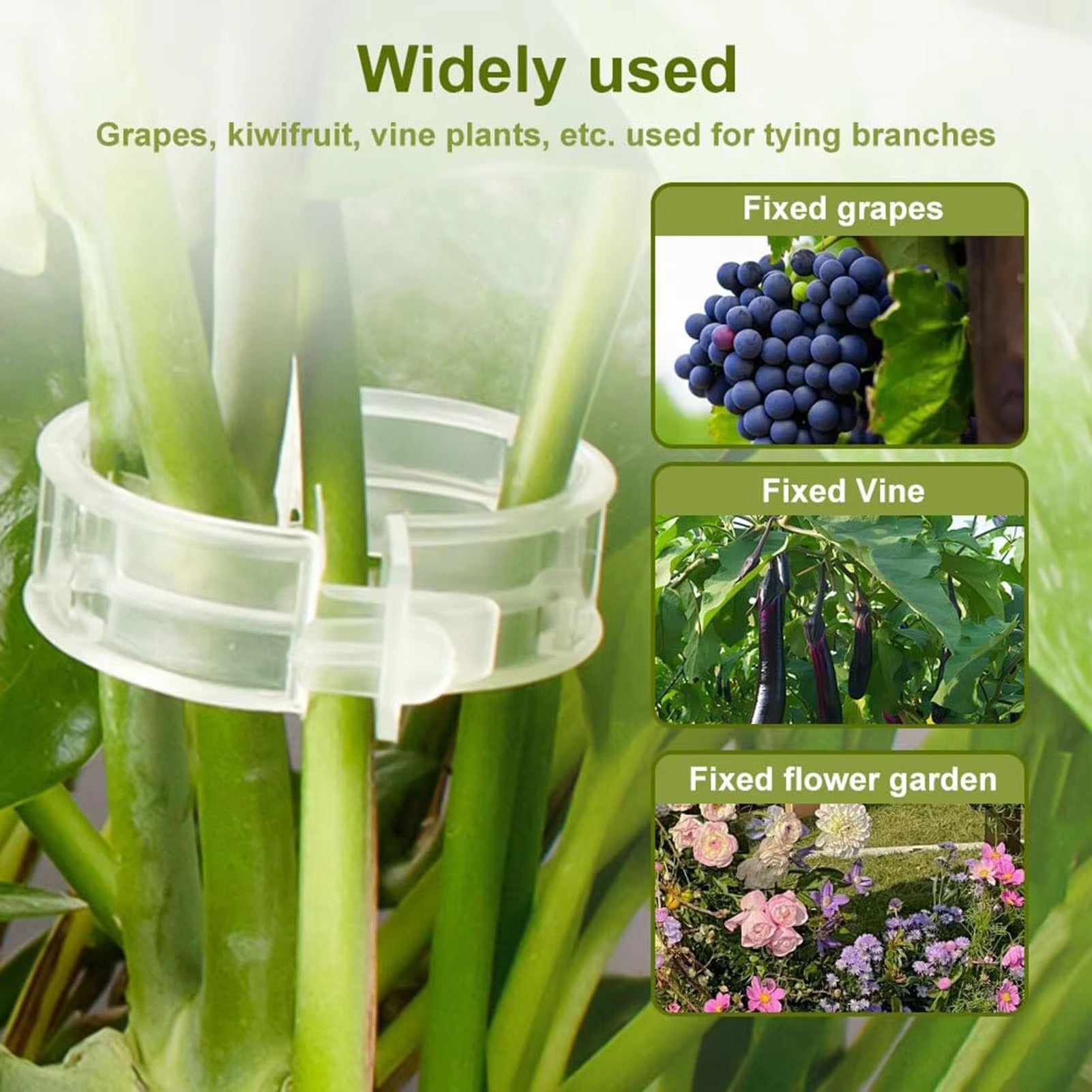 (50 Pcs)- Plant Clips for Climbing