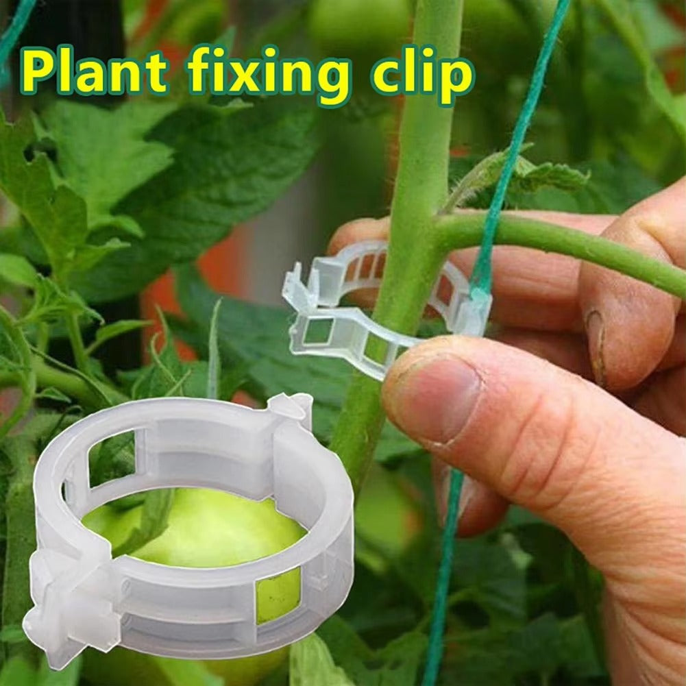 (100Pcs) Plant Clips for Climbing