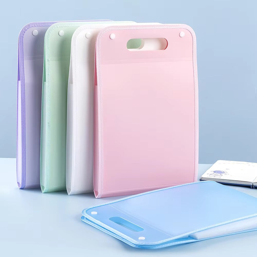 ১ পিস - 13-Cell Portable Expanding Paper Storage Organizer Bag