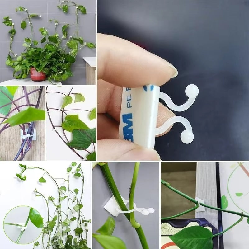 50Pcs- Self-Adhesive Plant Wall Clips- [White]