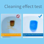 Toilet Flush Tablet | ১০ পিসের প্যাকেট